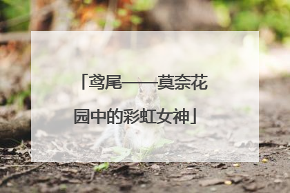 鸢尾——莫奈花园中的彩虹女神