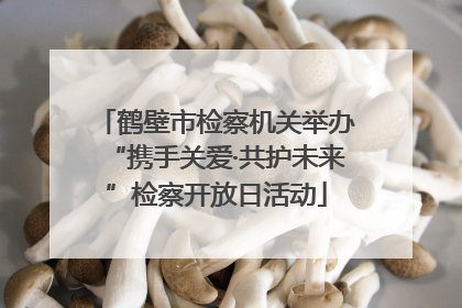 鹤壁市检察机关举办“携手关爱·共护未来”检察开放日活动
