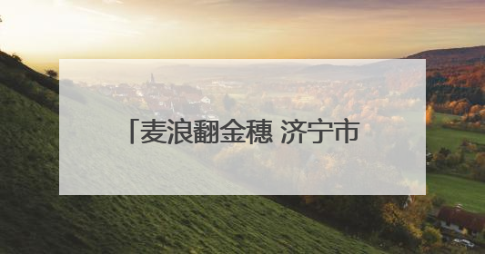 麦浪翻金穗 济宁市任城区32.28万亩小麦陆续开镰收割