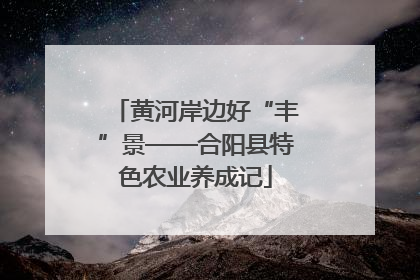 黄河岸边好“丰”景——合阳县特色农业养成记