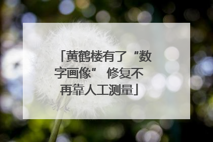 黄鹤楼有了“数字画像” 修复不再靠人工测量