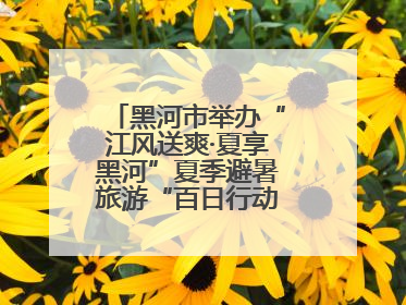 黑河市举办“江风送爽·夏享黑河”夏季避暑旅游“百日行动”新闻发布会