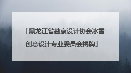 黑龙江省勘察设计协会冰雪创意设计专业委员会揭牌