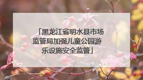 黑龙江省明水县市场监管局加强儿童公园游乐设施安全监管