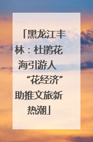 黑龙江丰林：杜鹃花海引游人 “花经济”助推文旅新热潮