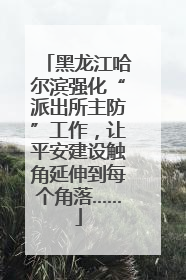 黑龙江哈尔滨强化“派出所主防”工作，让平安建设触角延伸到每个角落……