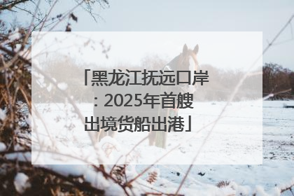 黑龙江抚远口岸：2025年首艘出境货船出港