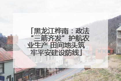 黑龙江桦南：政法“三箭齐发”护航农业生产 田间地头筑牢平安建设防线