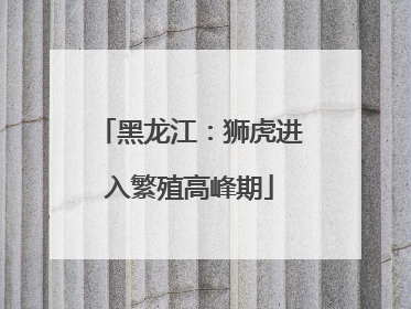 黑龙江：狮虎进入繁殖高峰期