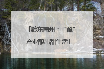 黔东南州：“酸”产业酿出甜生活