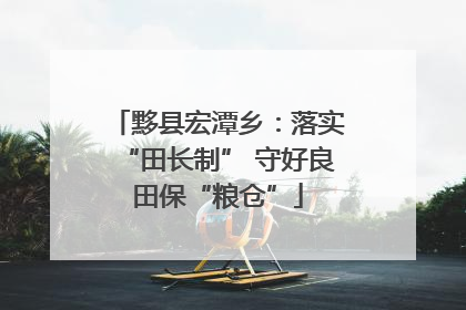 黟县宏潭乡：落实“田长制” 守好良田保“粮仓”