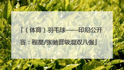 （体育）羽毛球——印尼公开赛：程星/张驰晋级混双八强
