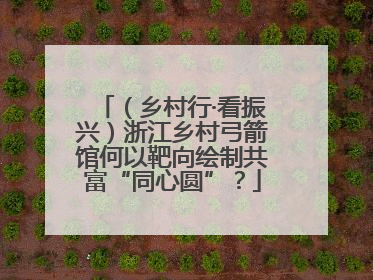 （乡村行·看振兴）浙江乡村弓箭馆何以靶向绘制共富“同心圆”？