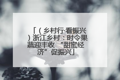 （乡村行·看振兴）浙江乡村：时令果蔬迎丰收 “甜蜜经济”促振兴