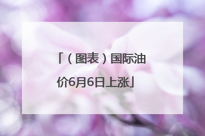 （图表）国际油价6月6日上涨