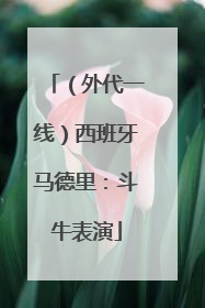 （外代一线）西班牙马德里：斗牛表演