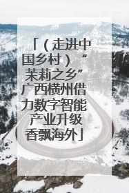 （走进中国乡村）“茉莉之乡”广西横州借力数字智能 产业升级香飘海外