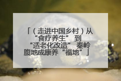 （走进中国乡村）从 “食疗养生” 到 “适老化改造” 秦岭腹地成康养“福地”