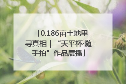 0.186亩土地里寻真相｜“天平杯·随手拍”作品展播