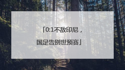 0:1不敌印尼，国足告别世预赛