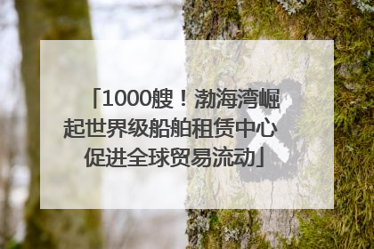 1000艘！渤海湾崛起世界级船舶租赁中心 促进全球贸易流动