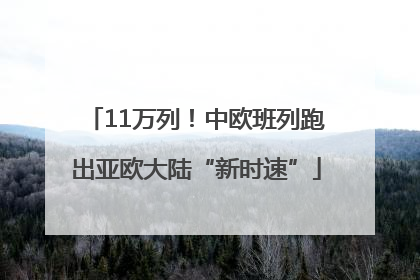 11万列！中欧班列跑出亚欧大陆“新时速”