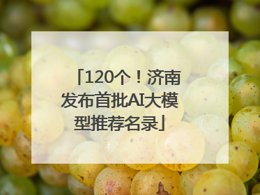 120个！济南发布首批AI大模型推荐名录