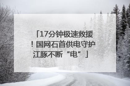 17分钟极速救援！国网石首供电守护江豚不断“电”
