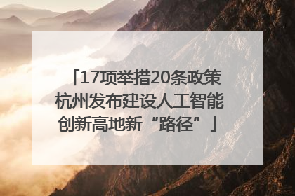 17项举措20条政策 杭州发布建设人工智能创新高地新“路径”