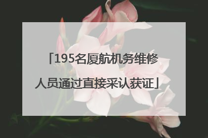 195名厦航机务维修人员通过直接采认获证