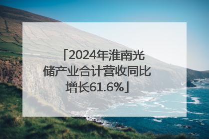 2024年淮南光储产业合计营收同比增长61.6%
