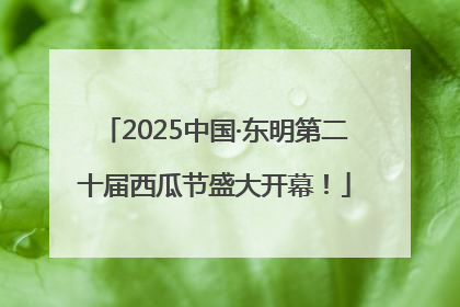2025中国·东明第二十届西瓜节盛大开幕！