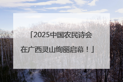 2025中国农民诗会在广西灵山绚丽启幕！