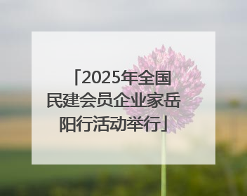 2025年全国民建会员企业家岳阳行活动举行