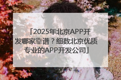2025年北京APP开发哪家靠谱？细数北京优质专业的APP开发公司