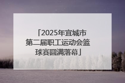 2025年宜城市第二届职工运动会篮球赛圆满落幕
