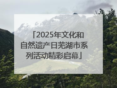 2025年文化和自然遗产日芜湖市系列活动精彩启幕