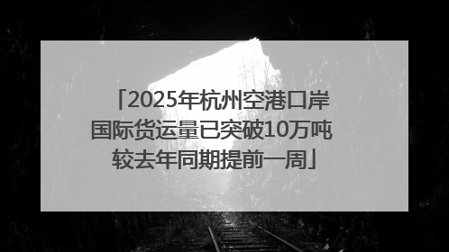 2025年杭州空港口岸国际货运量已突破10万吨 较去年同期提前一周