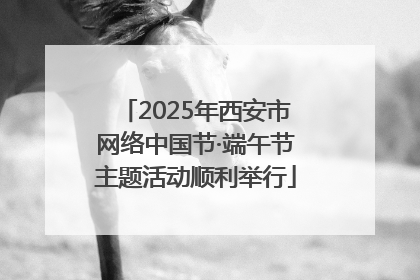 2025年西安市网络中国节·端午节主题活动顺利举行
