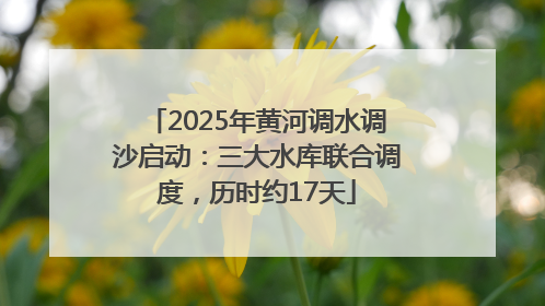2025年黄河调水调沙启动：三大水库联合调度，历时约17天