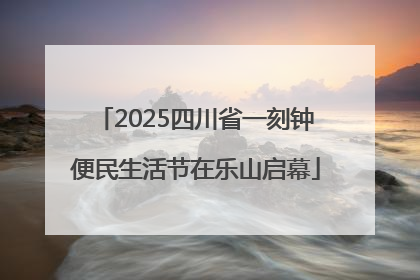 2025四川省一刻钟便民生活节在乐山启幕