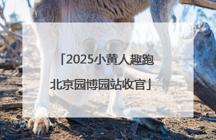 2025小黄人趣跑北京园博园站收官
