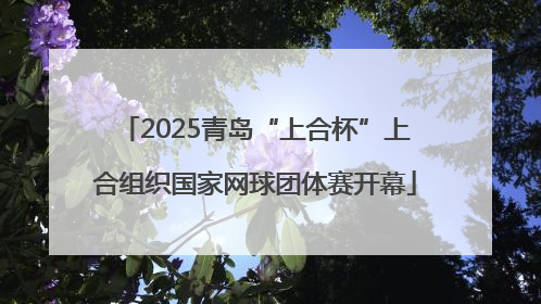 2025青岛“上合杯”上合组织国家网球团体赛开幕