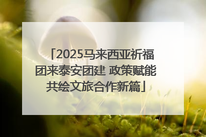 2025马来西亚祈福团来泰安团建 政策赋能共绘文旅合作新篇
