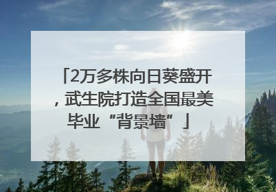 2万多株向日葵盛开，武生院打造全国最美毕业“背景墙”