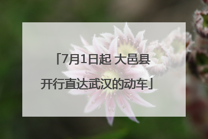 7月1日起 大邑县开行直达武汉的动车