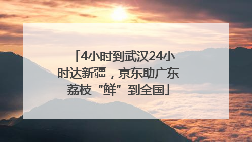 4小时到武汉24小时达新疆，京东助广东荔枝“鲜”到全国