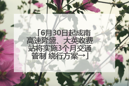 6月30日起成南高速隆盛、大英收费站将实施3个月交通管制 绕行方案→
