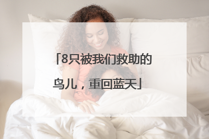 8只被我们救助的鸟儿，重回蓝天