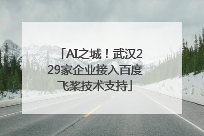 AI之城！武汉229家企业接入百度飞桨技术支持